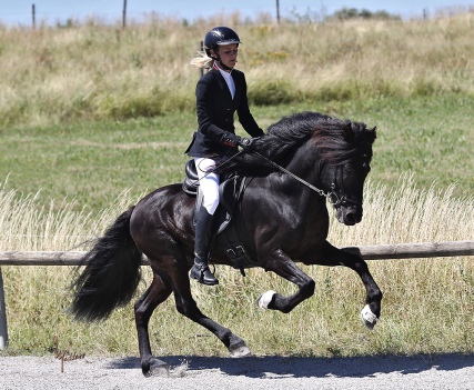 Wochenendkurs mit Marlen Stühler